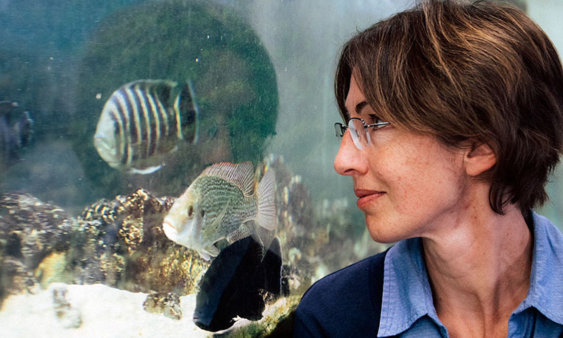 Kristina Sefc erforscht Evolution und Verhalten von Buntbarschen. Foto: Uni Graz/Kanizaj