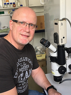 Der Biologie Günther Raspotnig untersucht mit seinem Team, ob die Wirkstoffe der Drüsensekrete auch für den Menschen aufbereitet werden könnten. Foto: KK. 