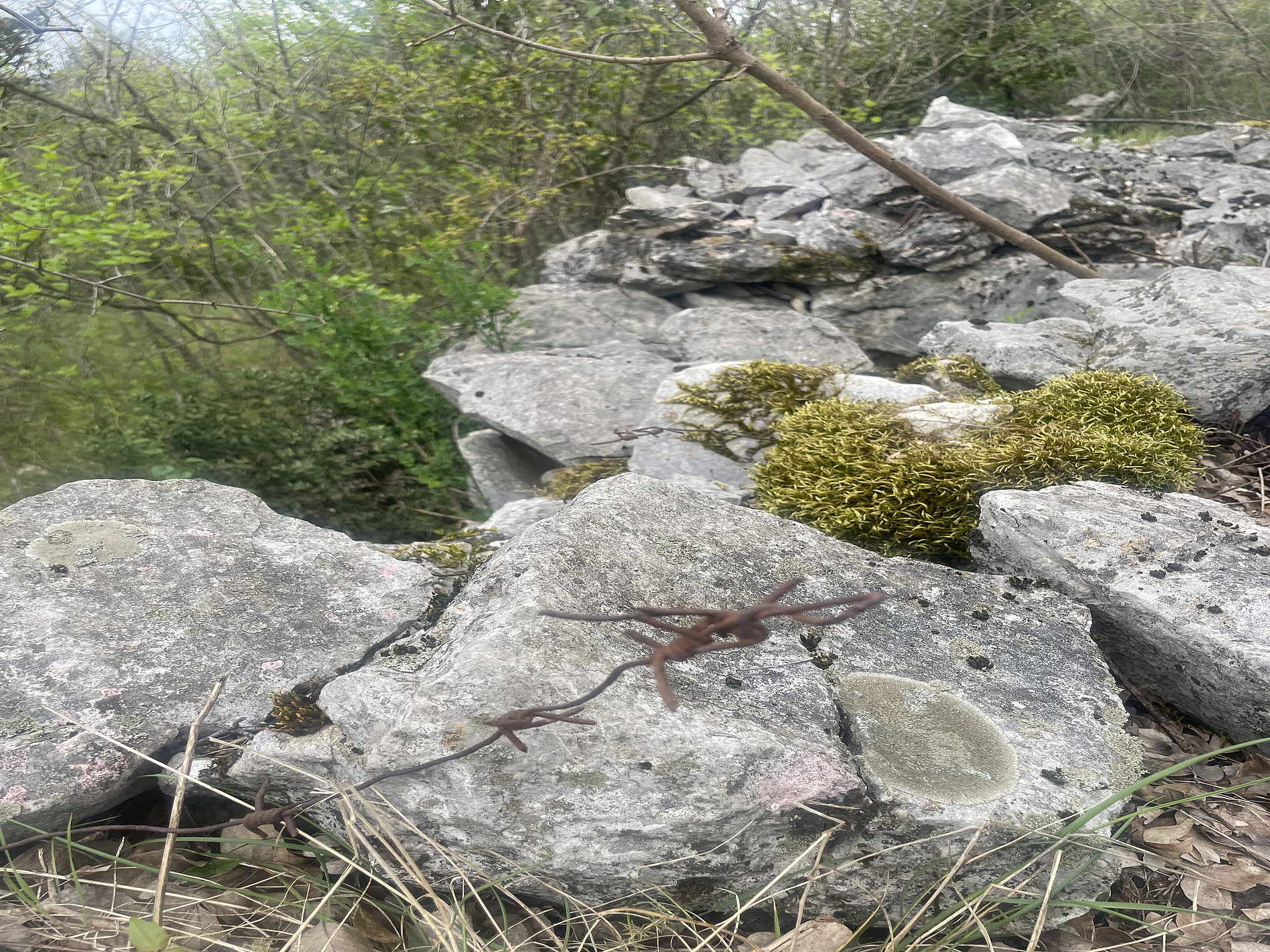 A wire in the stones 