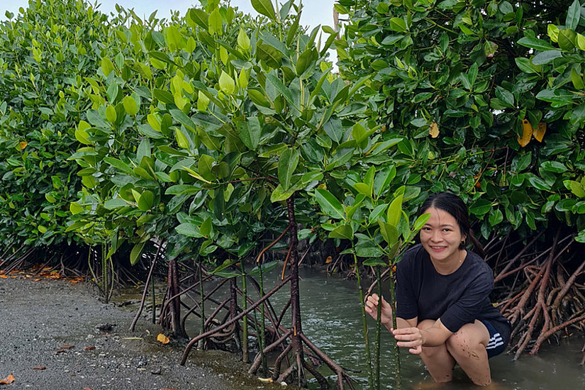 Yulia Ratnasari, selbst aus Indonesien und Gründerin des Karbon-Biru-Projekts, legt dabei auch persönlich Hand an. Hier ist sie beim Pflanzen von Mangroven zu sehen. Alle Fotos:  Yulia Ratnasari. 