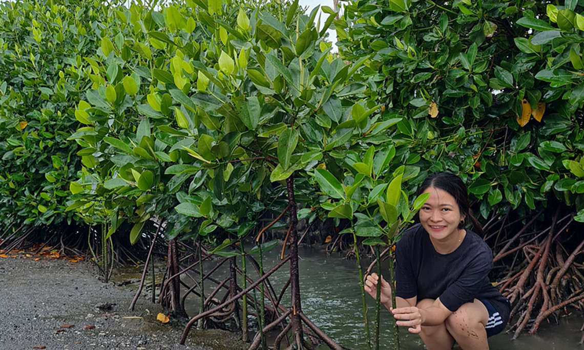 Yulia Ratnasari, selbst aus Indonesien und Gründerin des Karbon-Biru-Projekts, legt dabei auch persönlich Hand an. Hier ist sie beim Pflanzen von Mangroven zu sehen. Alle Fotos: Yulia Ratnasari. 