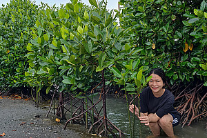 Yulia Ratnasari, selbst aus Indonesien und Gründerin des Karbon-Biru-Projekts, legt dabei auch persönlich Hand an. Hier ist sie beim Pflanzen von Mangroven zu sehen. Alle Fotos:  Yulia Ratnasari. 