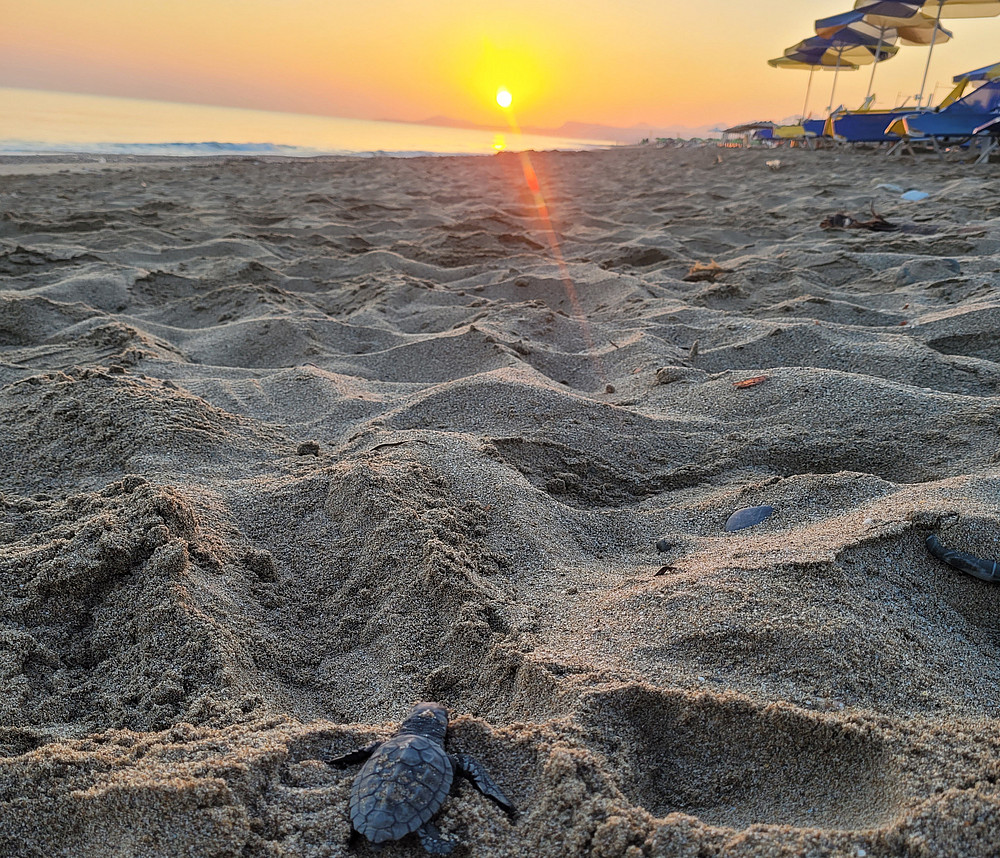 Sonnenuntergang auf kreta ©Global Diary | Wiesauer