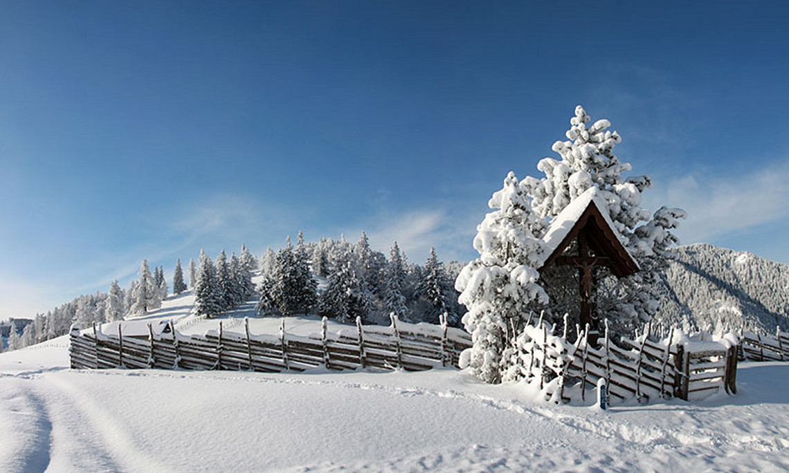 Das Almenland bietet BesucherInnen wunderschöne Natur (Foto: Bernhard Pölzl/pixelio.de) ...