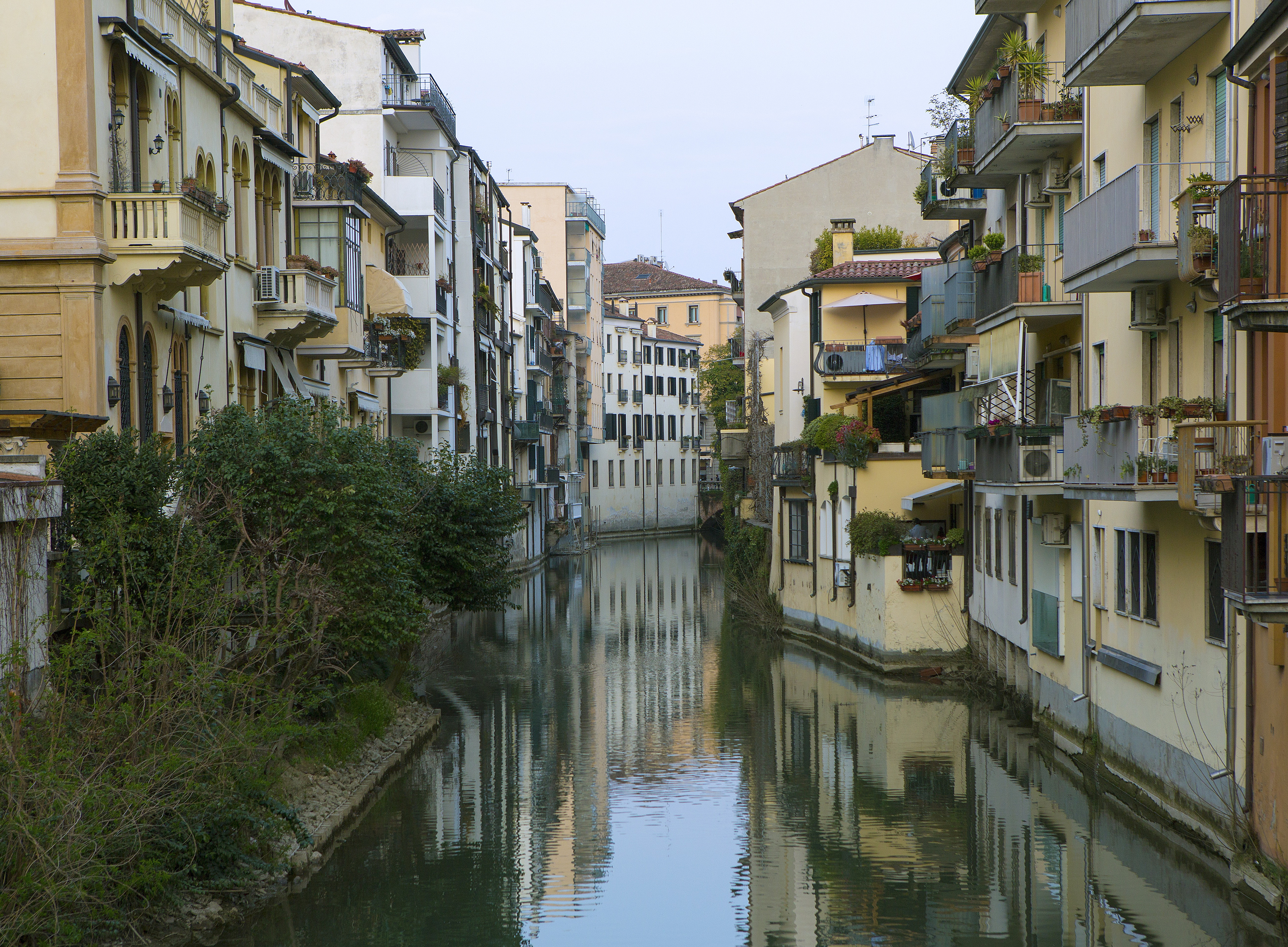 Padua 