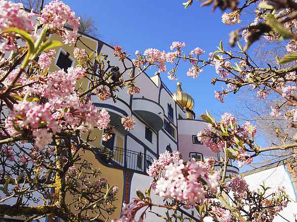 Fotografie der Therme Blumau mit blühenden Bäumen im Vordergrund