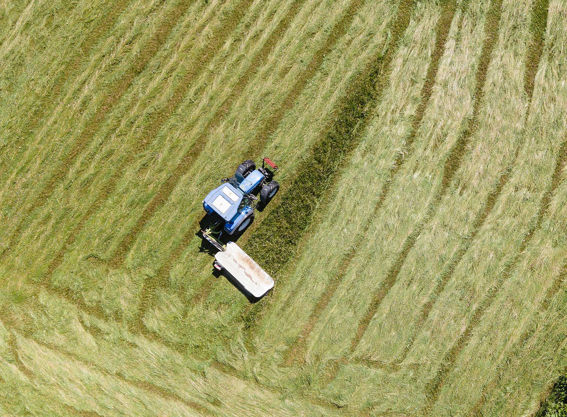 Traktor mäht eine Wiese 