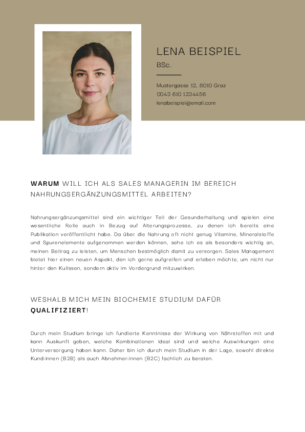 Dritte Seite Vorlage 