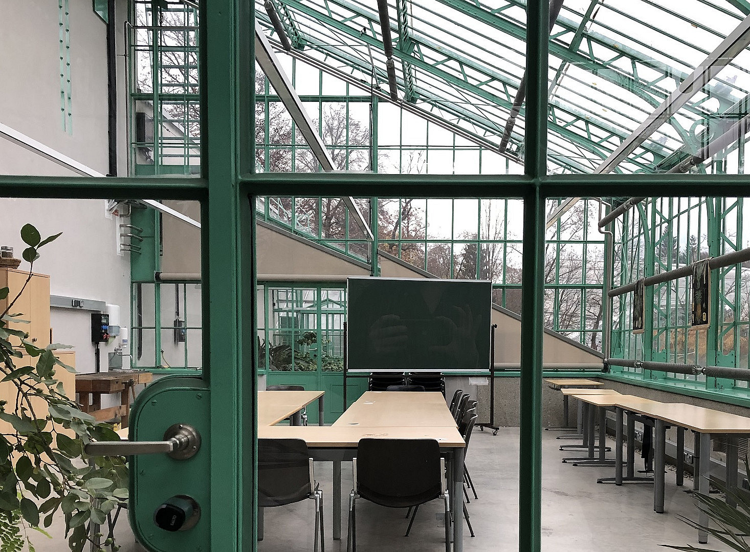 Botanischer Garten: Gewächshaus 