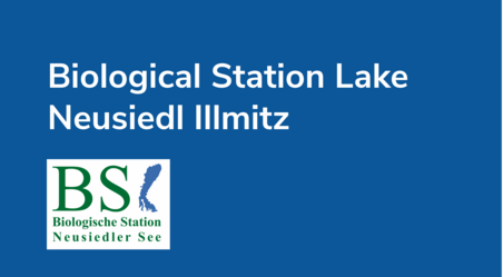 Link to the Neusiedler See Biological Station in Illmitz 