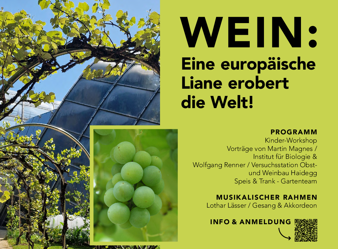 Brunch Plakat 2024 