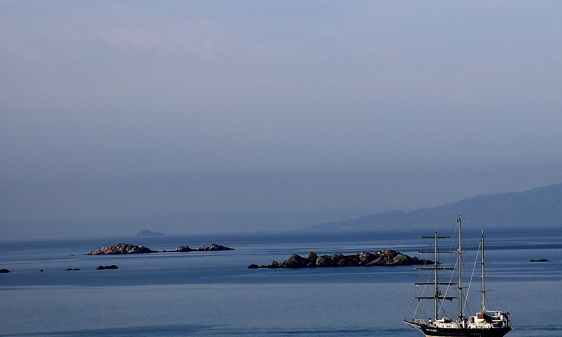 Meer