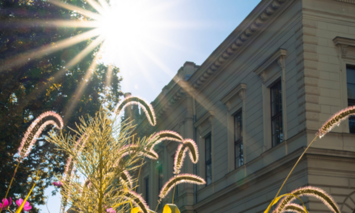 Hauptgebäude der Uni Graz mit Sonne und Pflanzen