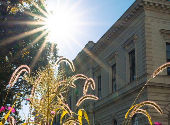 Hauptgebäude der Uni Graz mit Sonne und Pflanzen 