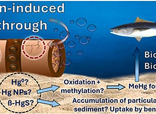 graphical depiction of corroding pipeline and the effects of released mercury ©Elseviewr TOC