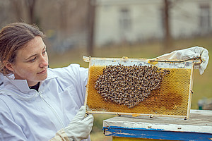 Female bee researcher from the University of Graz shows robot honeycomb with bees on it.