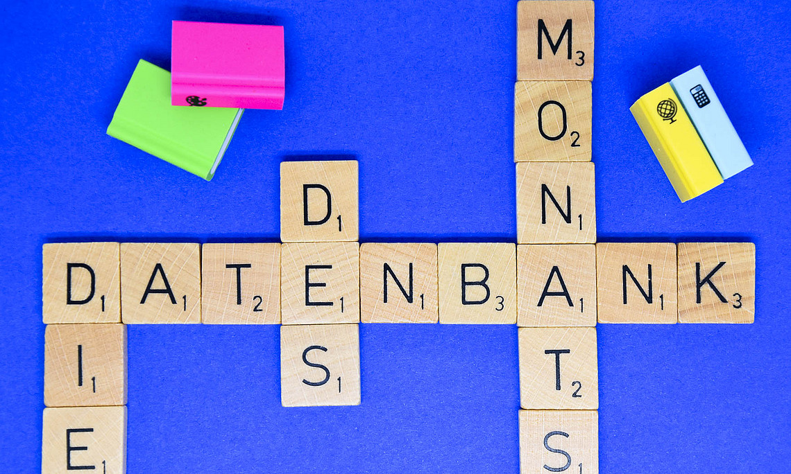 Datenbank des Monats