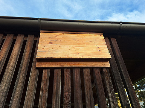 Fledermausbrett ©Brigitte Komposch