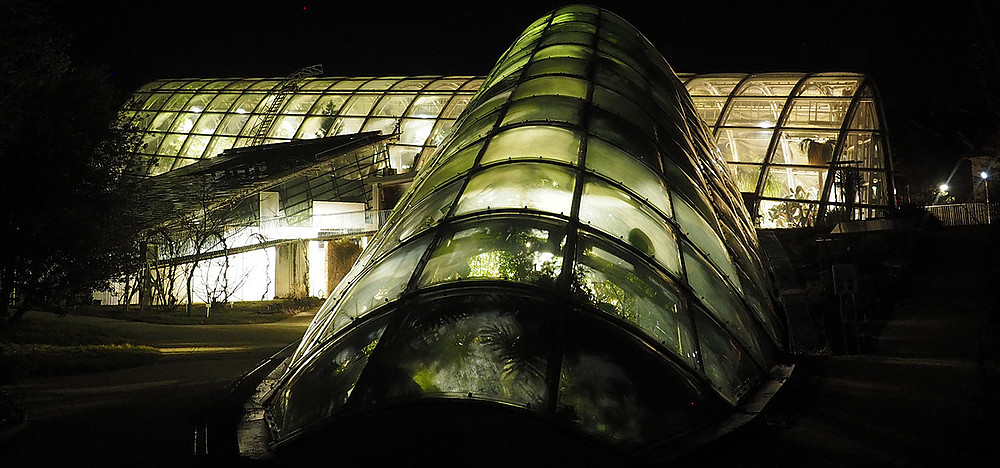 The greenhouse of the botanical garden at night. ©Uni Graz - Grube Ulrike