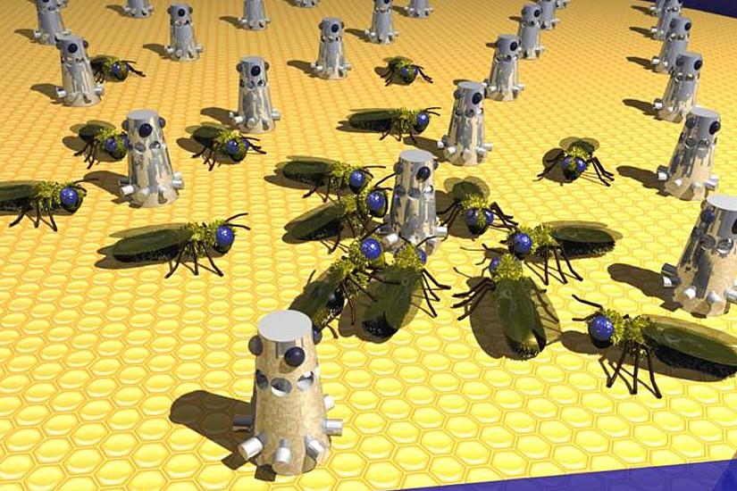 Um Schwarmintelligenz zu erforschen, werden im Artificial Life Lab Roboter programmiert, die sich wie Bienen im Kollektiv verhalten.
