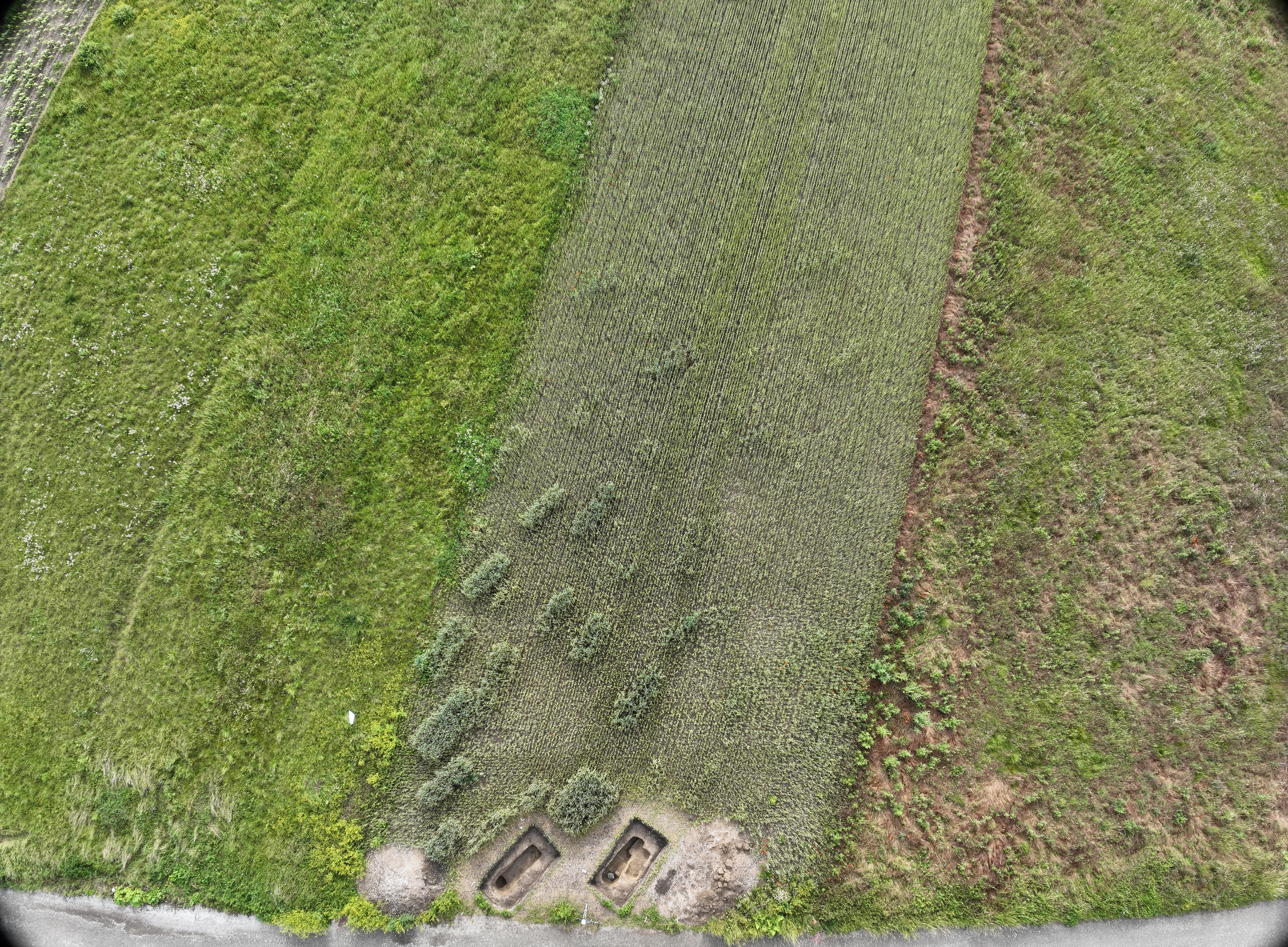 Drone picture 