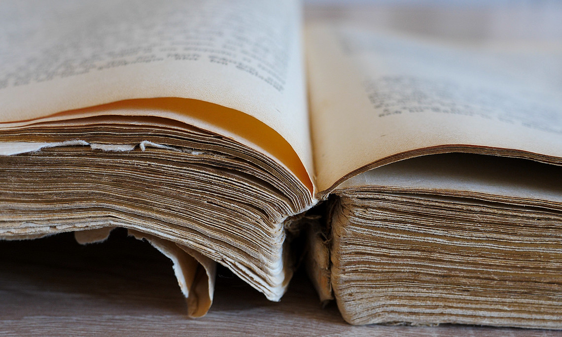 Altes Buch: zelwanka - stock.adobe.com