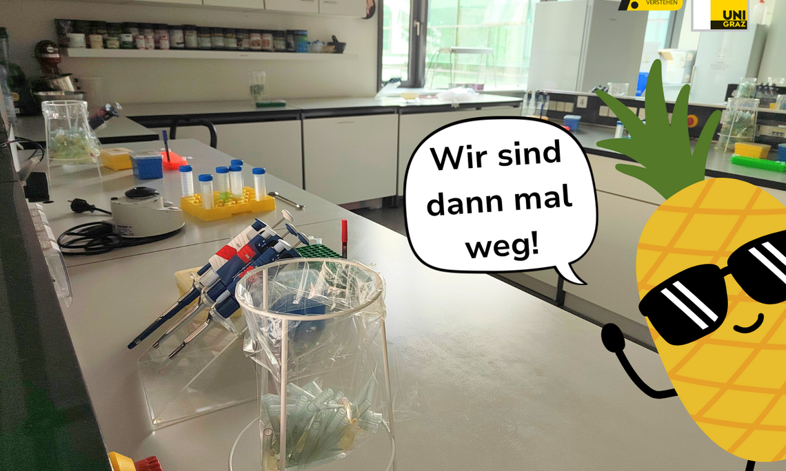 Sommerpause der Mitmachlabore 2026
