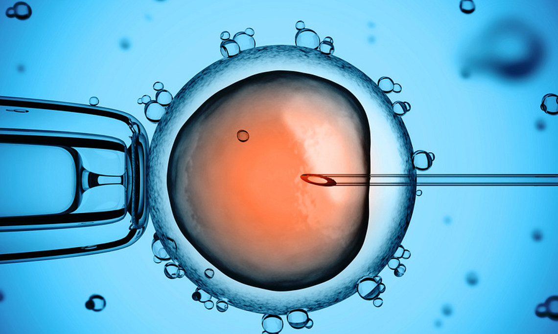 Klinische Embryologie, Reproduktionsmedizin
