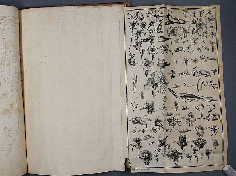 Tentamen Botanicum