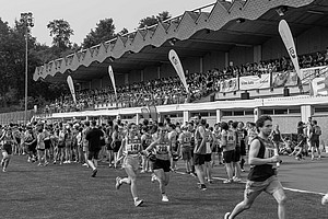 Kleeblattlauf 2024