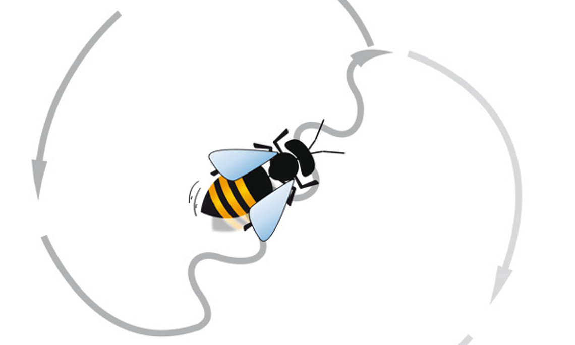 Wie Bienen tanzen, heizen und sich die Arbeit aufteilen, zeigt Servus TV am Freitag.