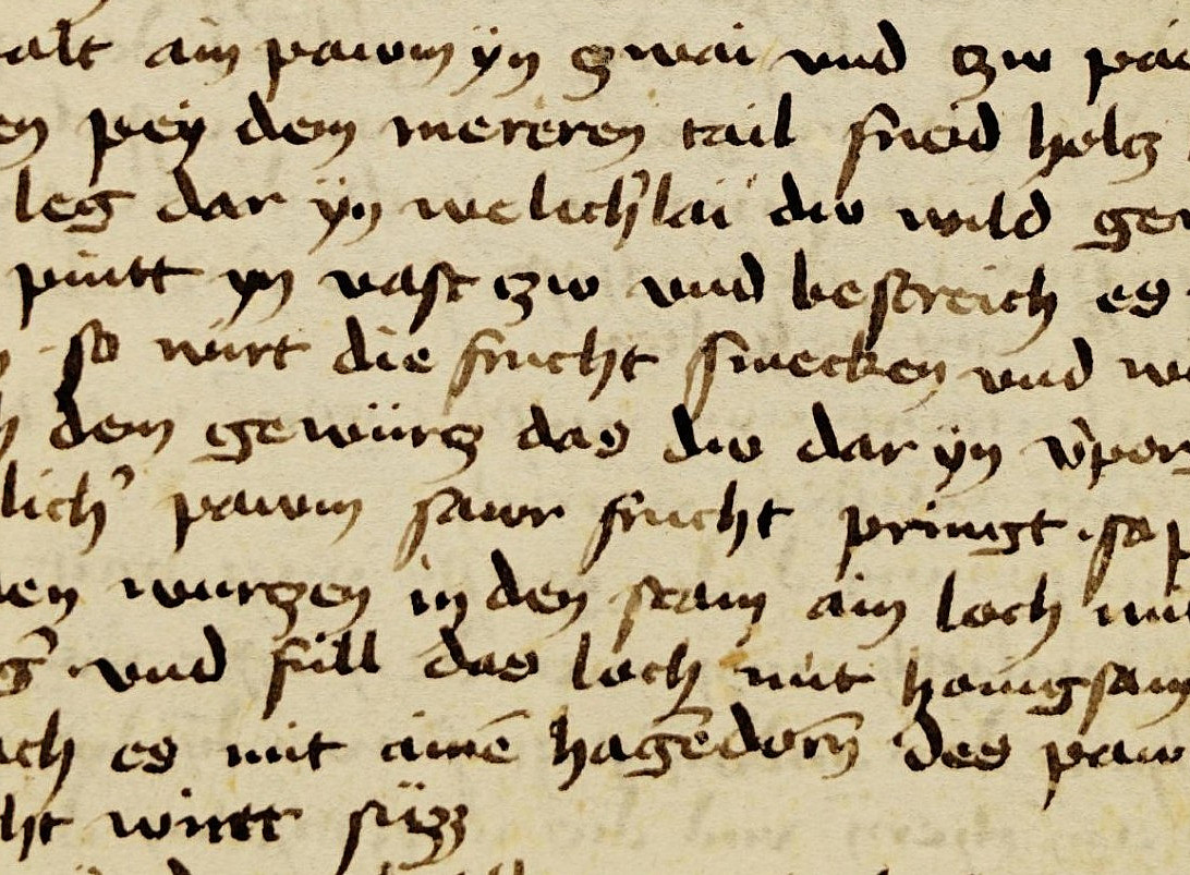Ms. 1609 (fol. 389r) ©Uni Graz/Restaurierung
