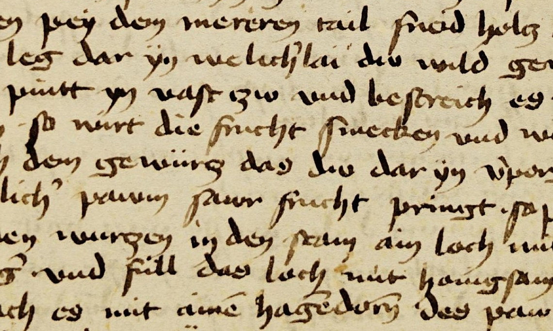 Ms. 1609 (fol. 389r)
