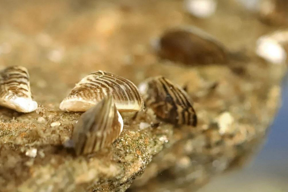 [Translate to English:] 