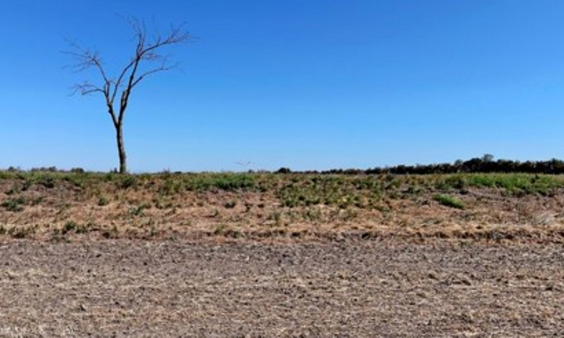 trockene Landschaft