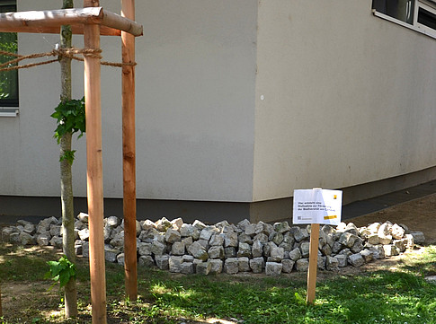 Selbst angelegte Steinstruktur ©UNI Graz
