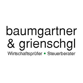 Logo baumgartner & grienschgl 