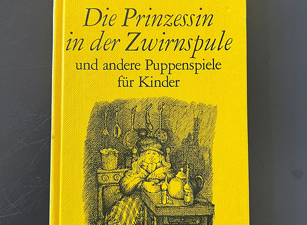 Die Prinzessin in der Zwirnspule 