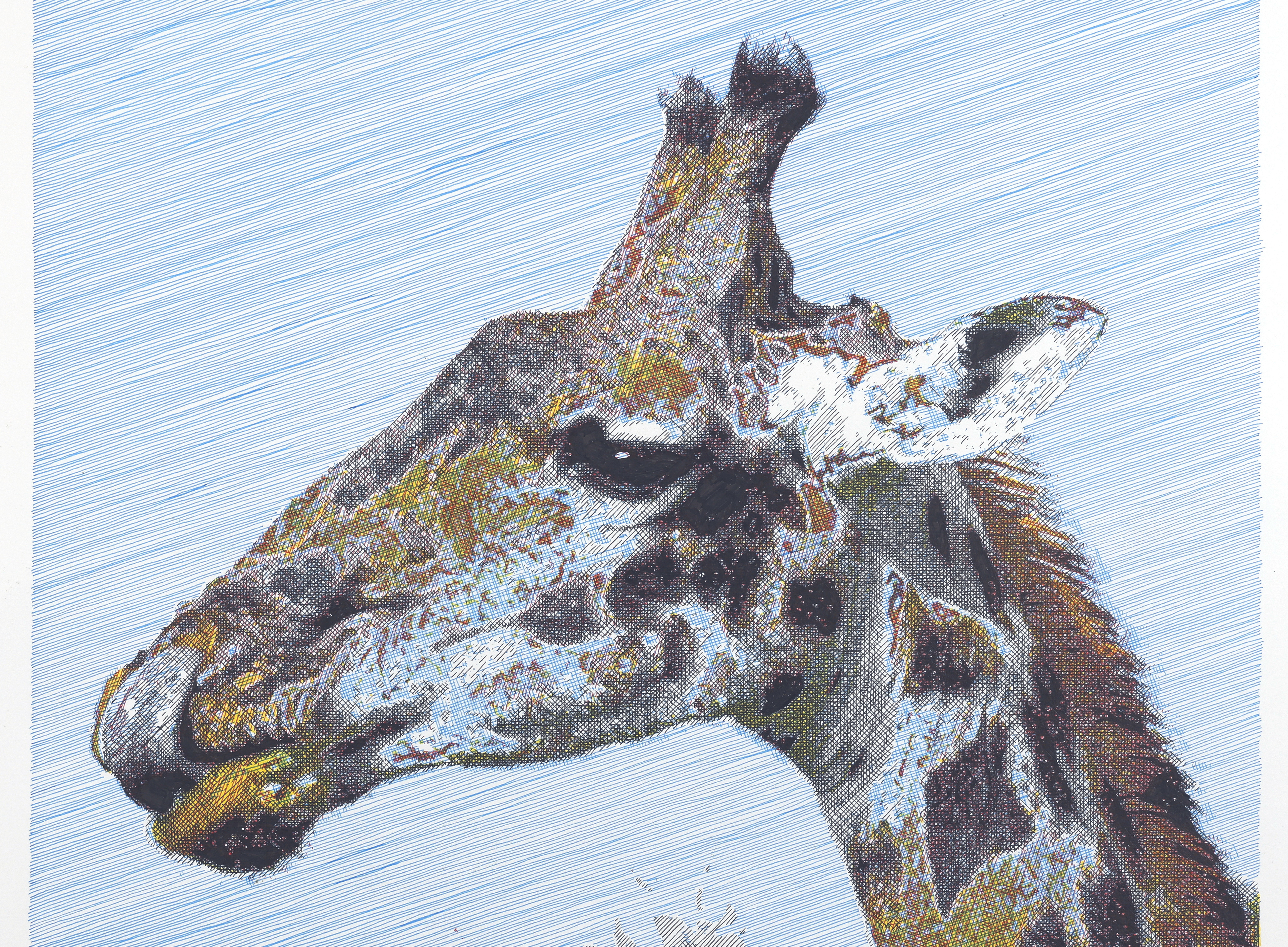 Giraffe_Caspar Graf ©Caspar Graf