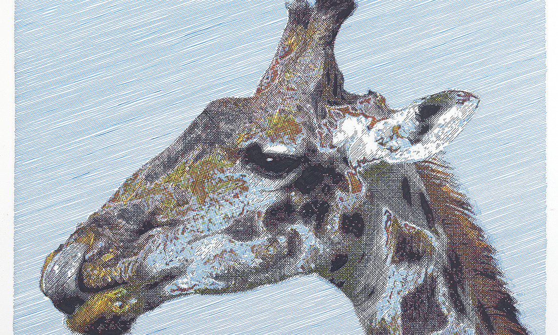 Giraffe_Caspar Graf