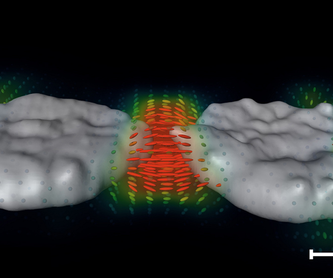 3D-Darstellung von Plasmonenfelder an Nanopartikeln. Foto: Haberfehlner - TU Graz 