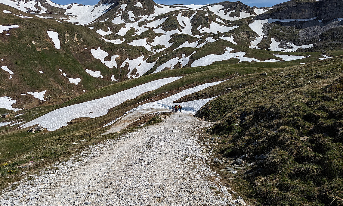 Ein Weg in den Alpen. Zentral, aber weit entfernt ist eine Gruppe Wanderer:innen.