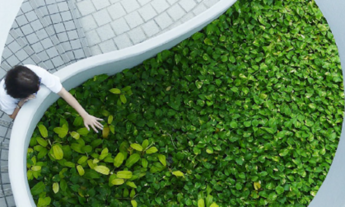Sustainability