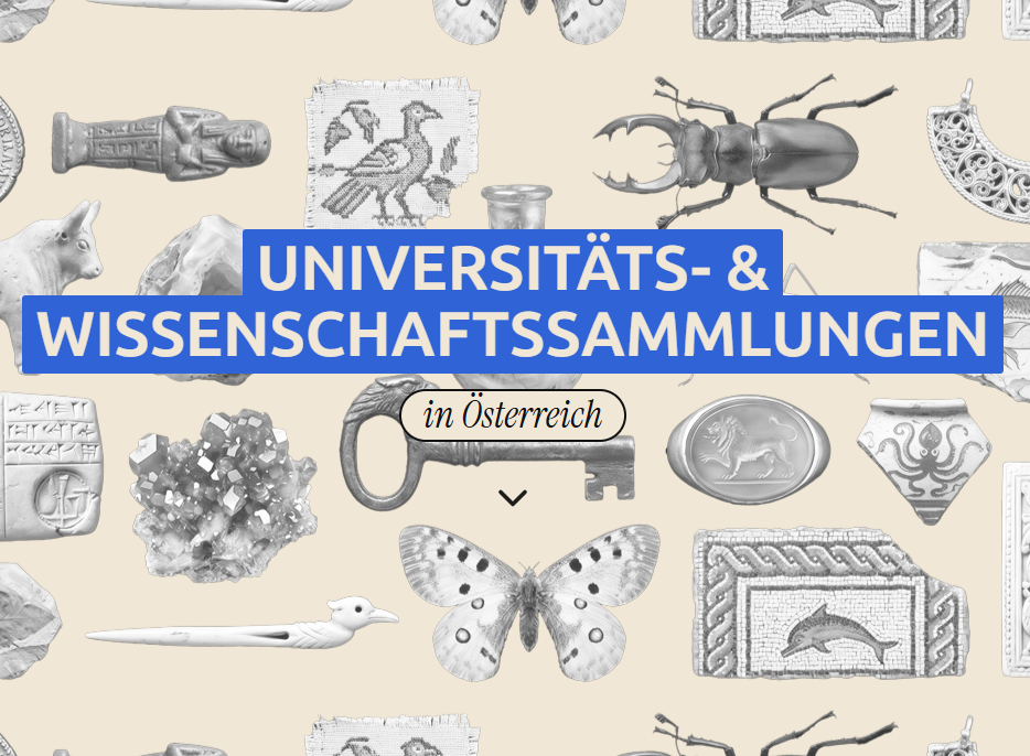 Screenshot des Online-Portals 'Universitäts- und Wissenschaftssammlungen in Österreich' ©Museumsbund Österreich