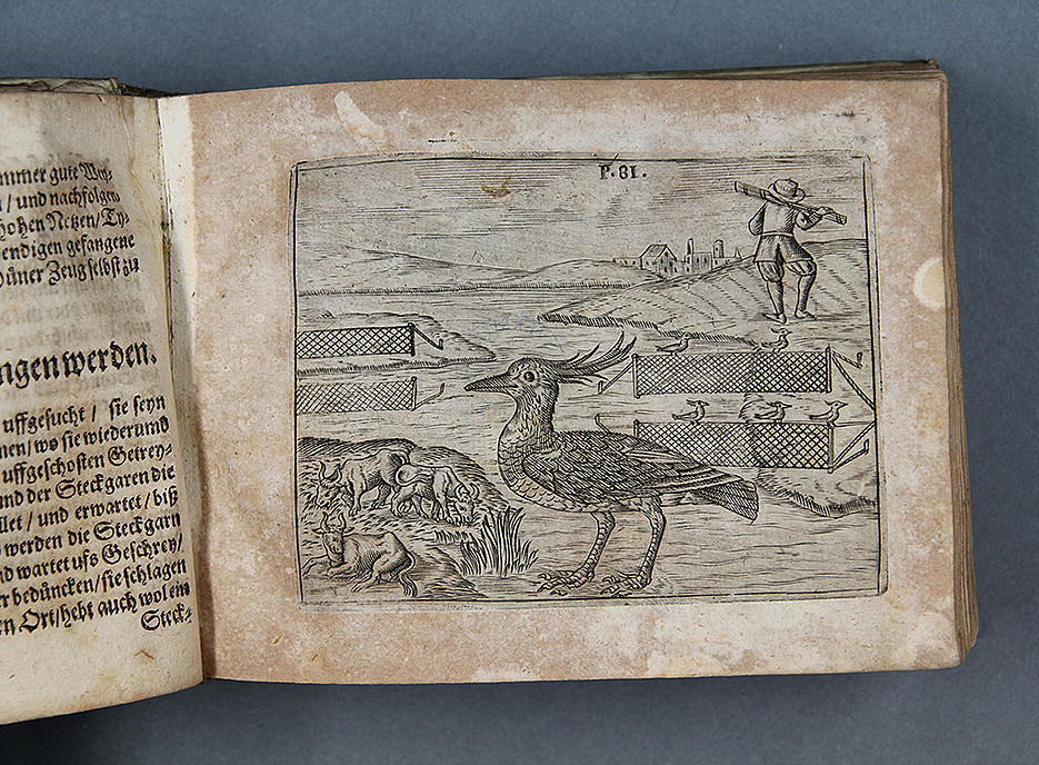 Volständiges Jagd- und Weydbüchlein ©Uni Graz/Restaurierung