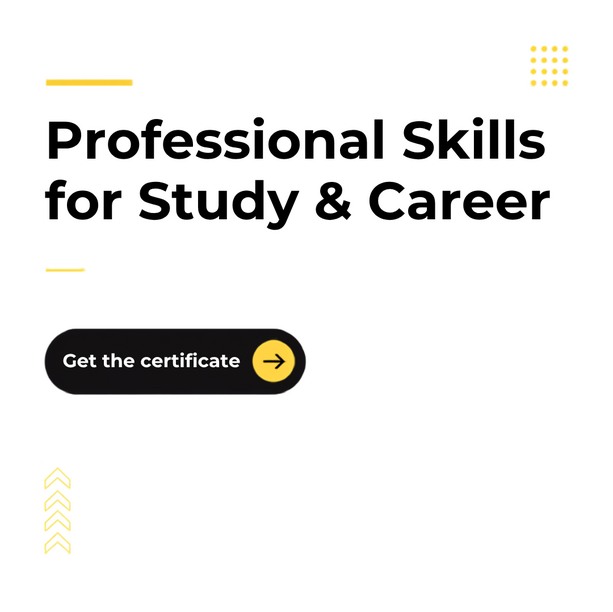 Professional Skills 