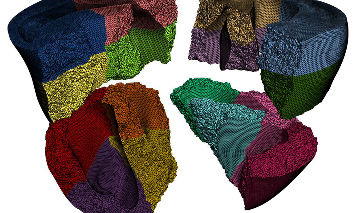 Das virtuelle Herz ist ein Thema, das im Rahmen des Spezialforschungsbereiches "Mathematical Optimization with Application in Biosciences" desigt und entwickelt wurde. Foto: Uni Graz
