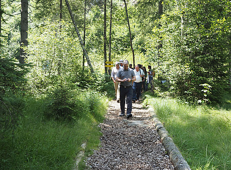 Eine Gruppe von Menschen auf einem Waldspaziergang, die einen Weg aus Holzspänen und Kieselsteinen mit Schildern entlanggeht, die auf interessante Merkmale wie Bäume oder Sträucher hinweisen; eine Person hält ein Telefon in der Hand, während die anderen verschiedene Pflanzen um sie herum betrachten. Der Wald ist üppig grün, das Sonnenlicht dringt durch die Blätter und wirft ein schummriges Licht auf den Boden. ©Nationalpark Gesäuse/Wölger