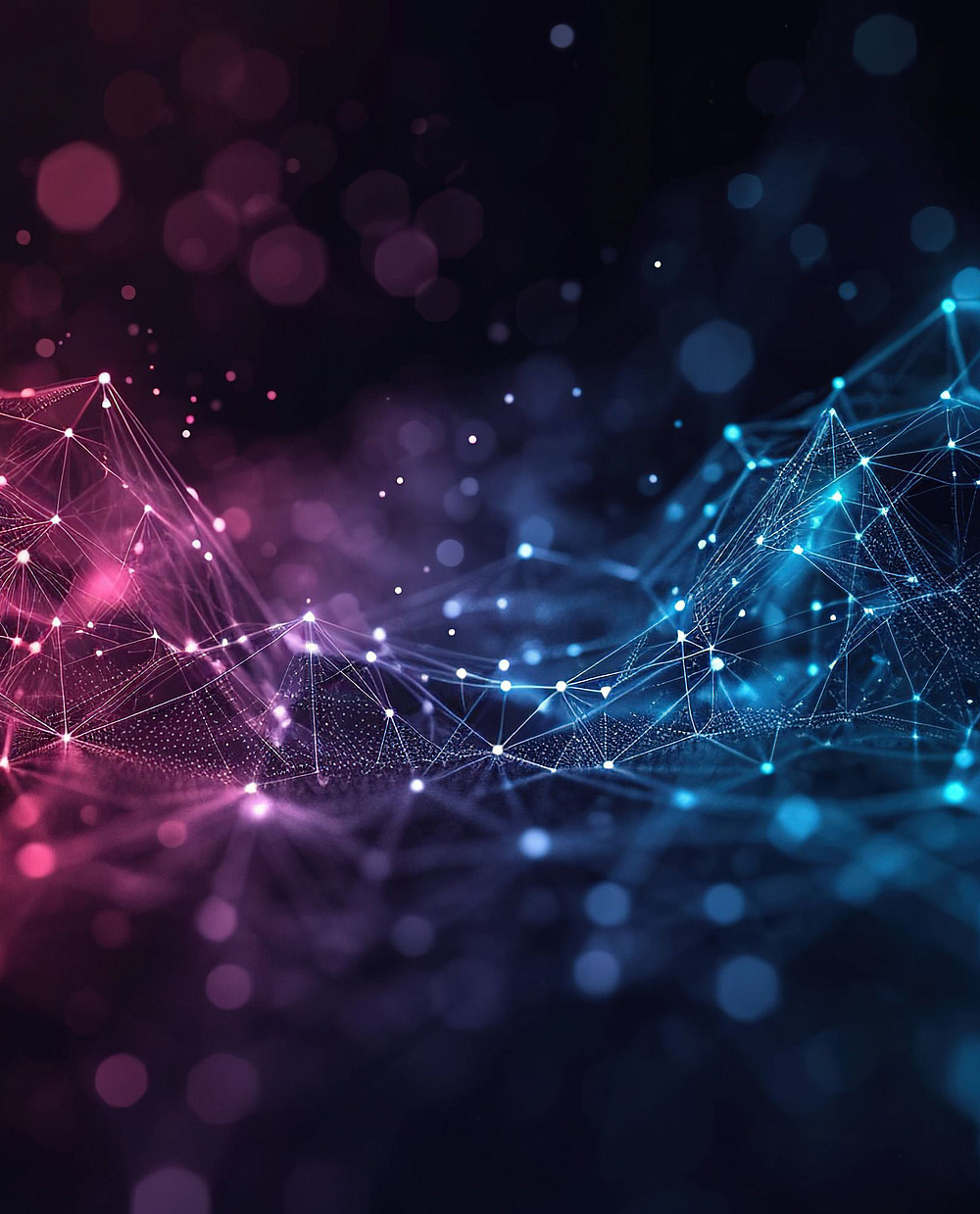 Network with colour gradient ©PHAISITSAWAN - stock.adobe.com