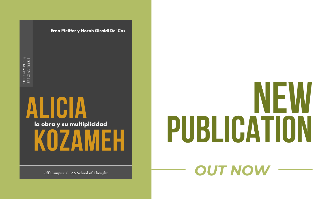 Publication Alicia Kozameh ©C.IAS Team